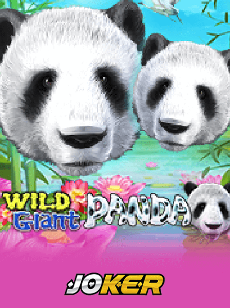 Discover the Exciting World of WheelSpin Casino Gaming Options